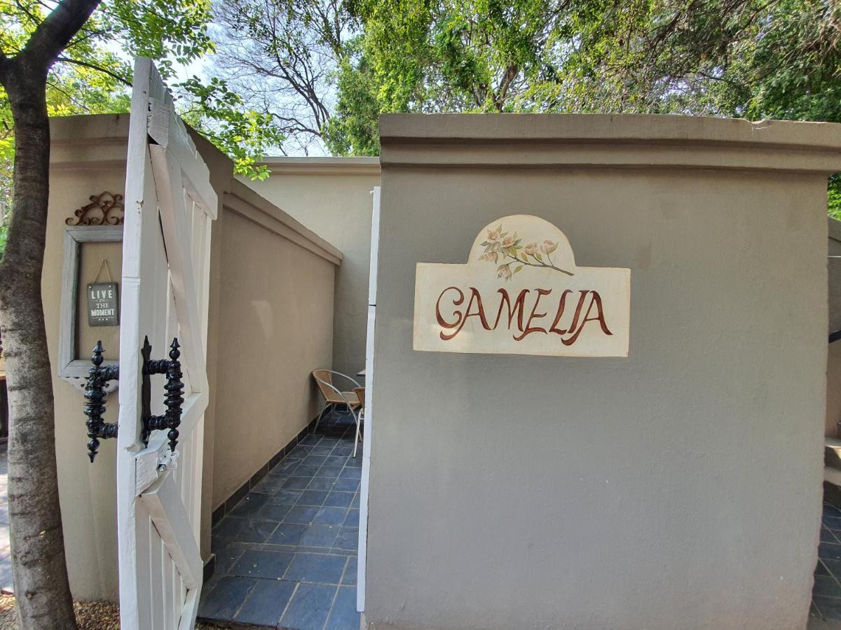 Waterhouse Guest Lodge In Muckleneuk Pretoria-Noord Szoba fotó